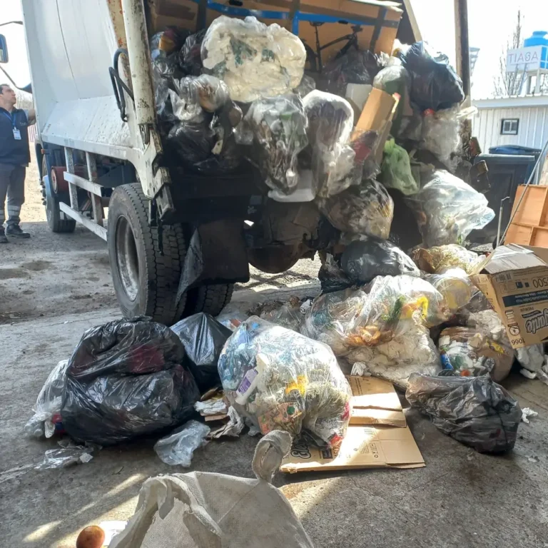 Caracterización en INTI de Residuos sólidos Nacionales del Aeropuerto Internacional de Ezeiza6